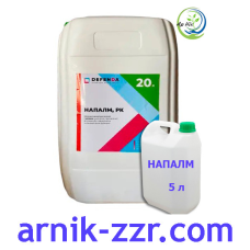 Десикант НАПАЛМ (РАУНДАП), 5 л.