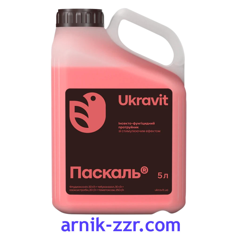 Протруйник ПАСКАЛЬ, 5 л.
